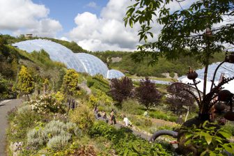 Eden project domes