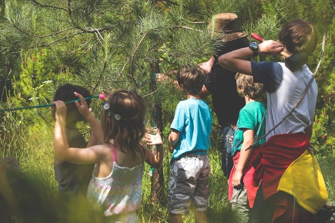 Children den building in the woods 