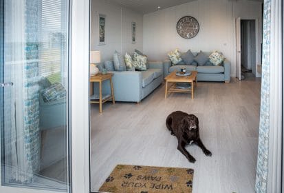 Dog laying in the living room area with the balcony doors open