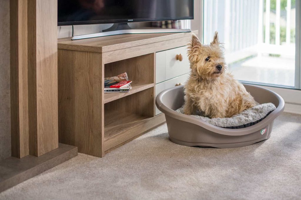 Dog-Friendly-Static-Caravan-Trevornick-1-min