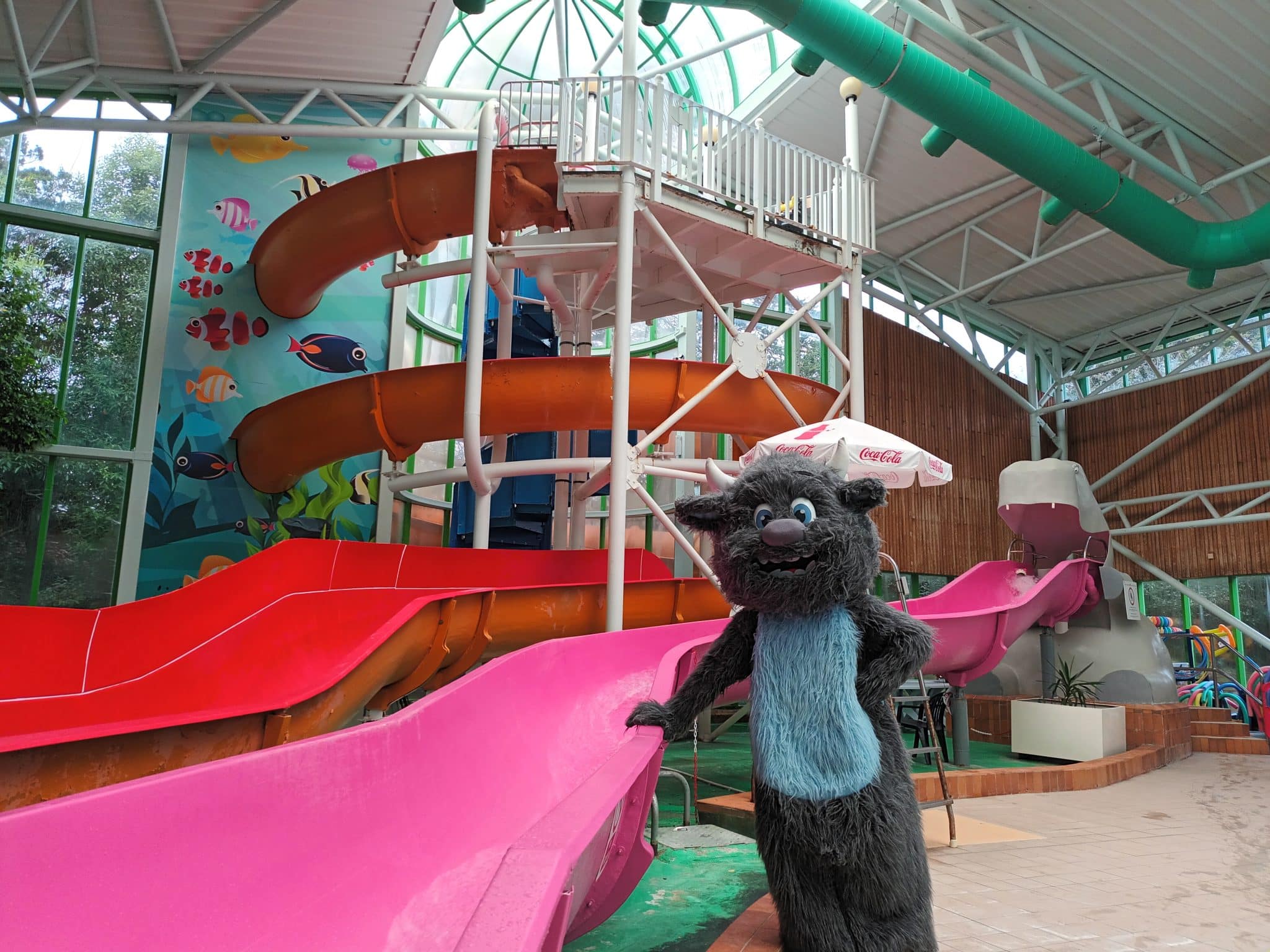 Wild Thing Newquay Leisure World Trevornick Holiday Park