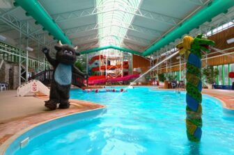 Wild Thing Recommends: Newquay Leisure World