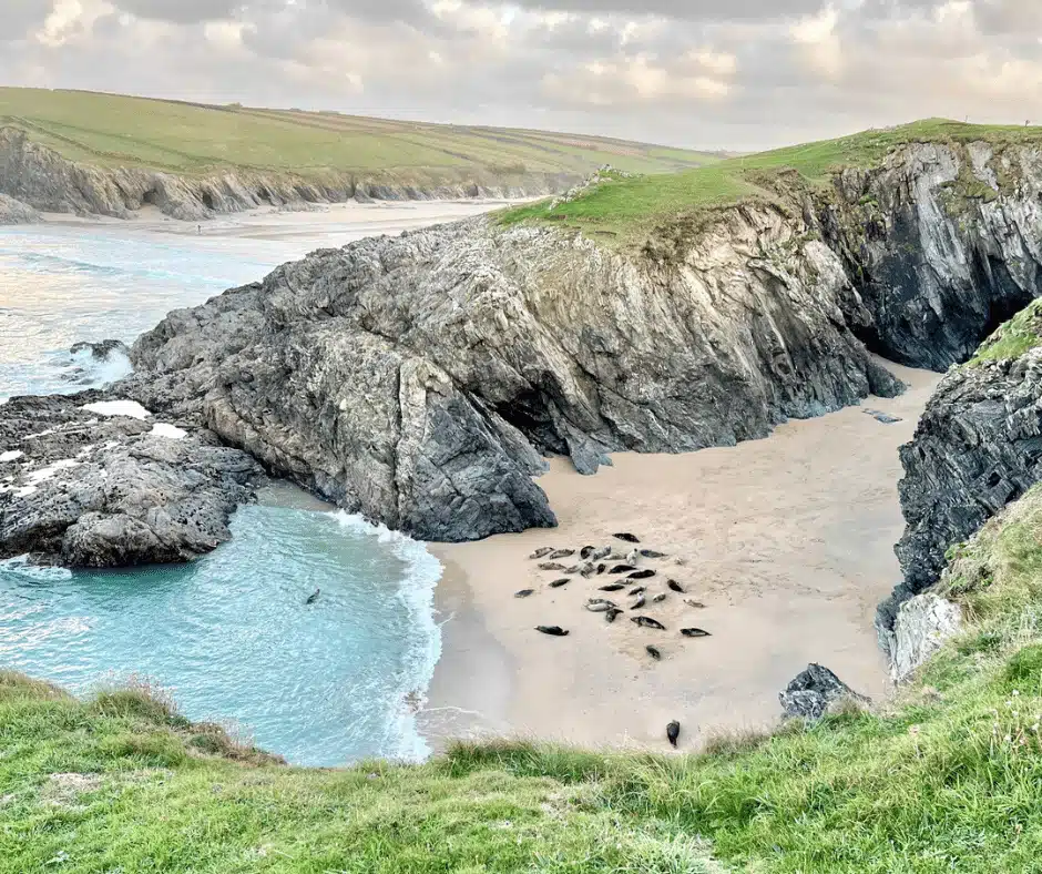 places to visit near holywell bay cornwall