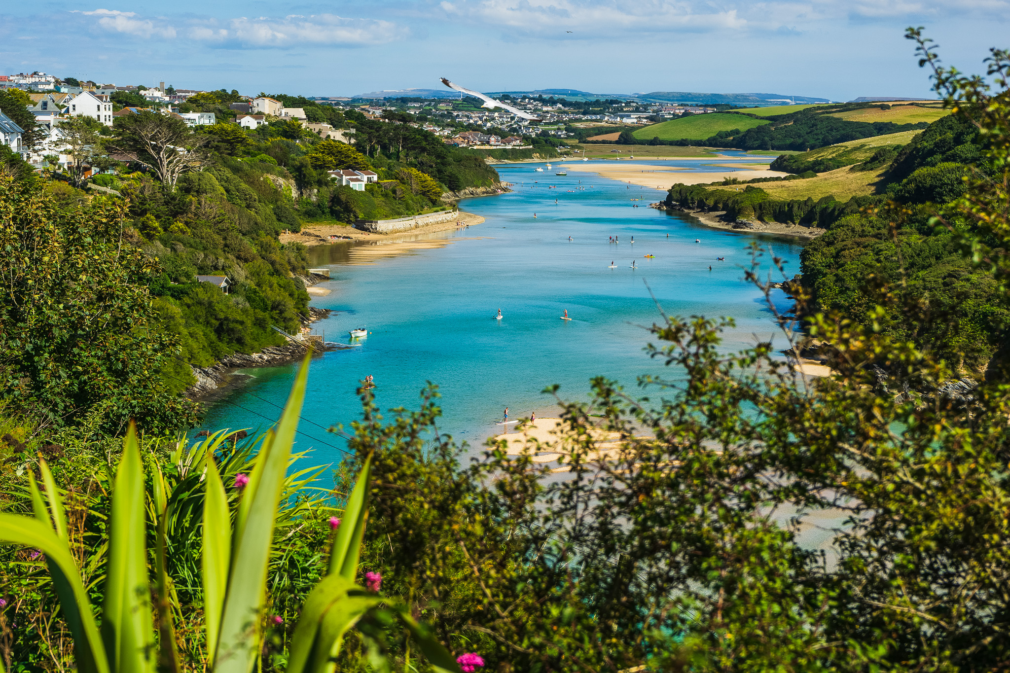 A photo of the bright aqua water of the Gannel in Newquay taken from higher up between bright green bushes and pink flowers. People are paddleboarding, swimming and in little boats along the calm water at high tide.