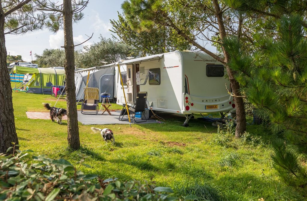 Caravan on a pitch can be seen through the trees with dogs running outside