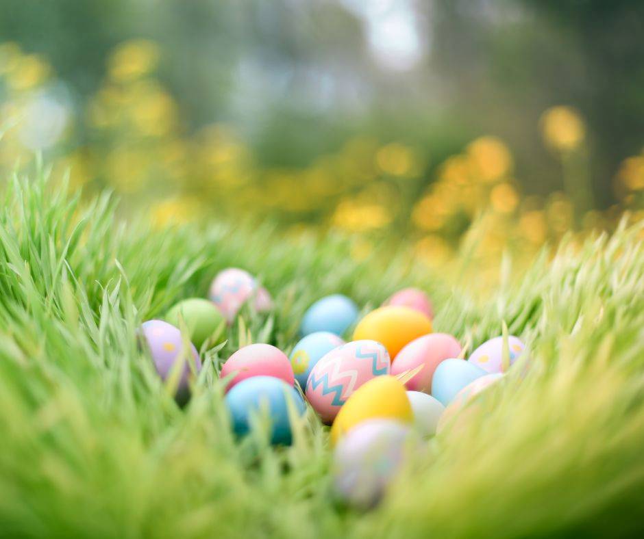 Easter Eggs on grass