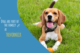Why Trevornick Is The Best Dog-Friendly Holiday Park In Cornwall