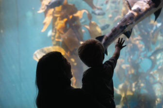 Blue Reef Aquarium